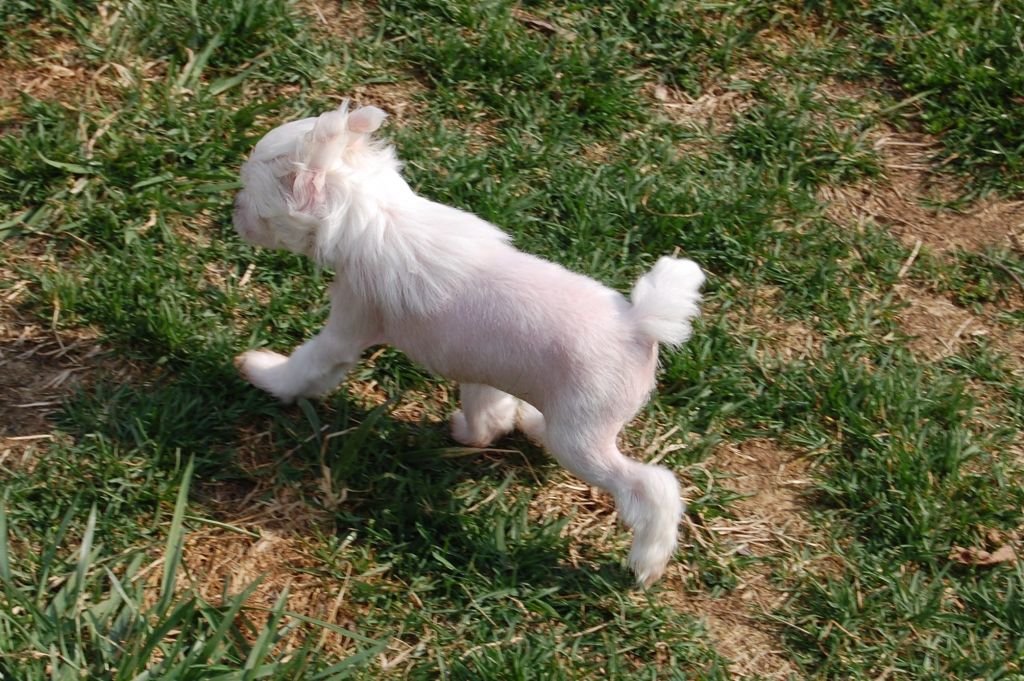 Rockin M n Nonies Hirohito