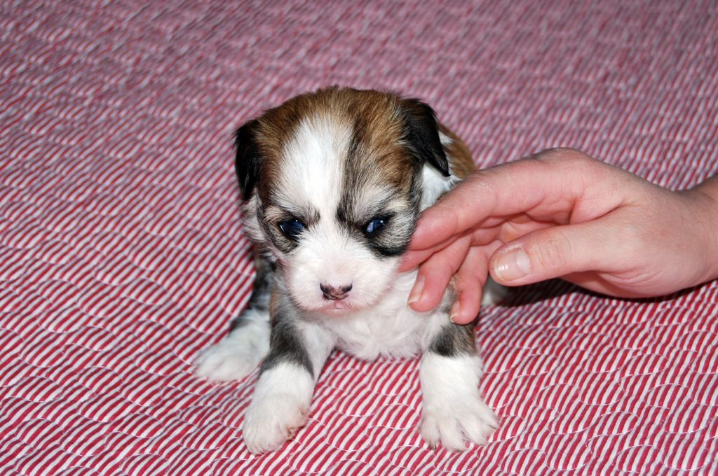 Cool Crowd's Gorgeous Laura Palmer