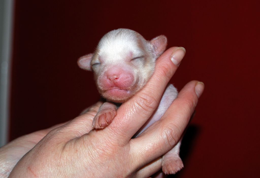 Cool Crowd's Gorgeous Donna Hayward