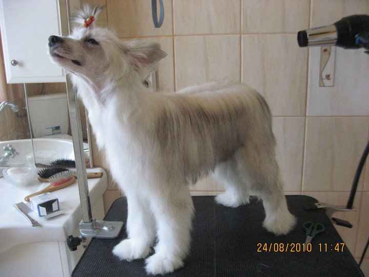 Baklava Almond Only Salsa