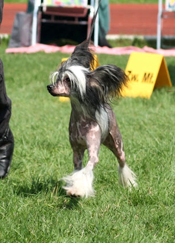 Brioche at Only Salsa