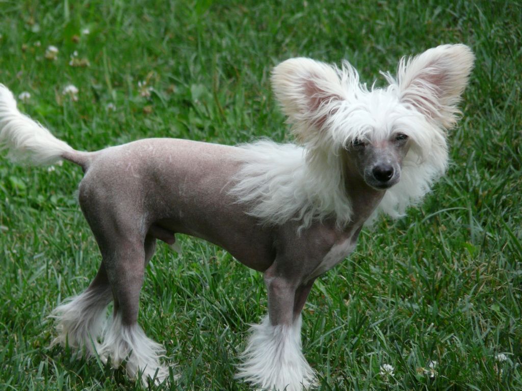 Creekside's I Caught Fire