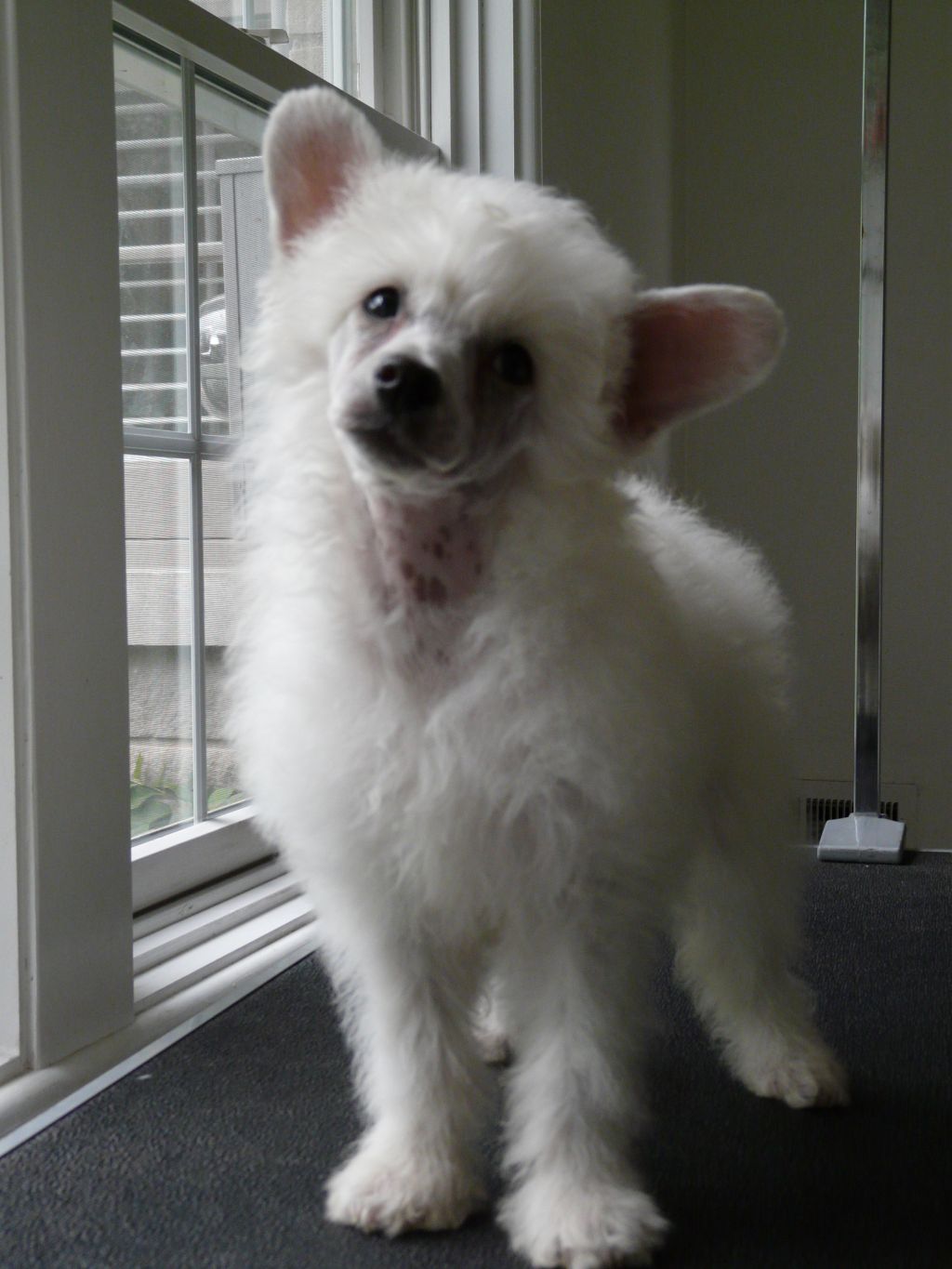 Creekside's Gotta Git Dat