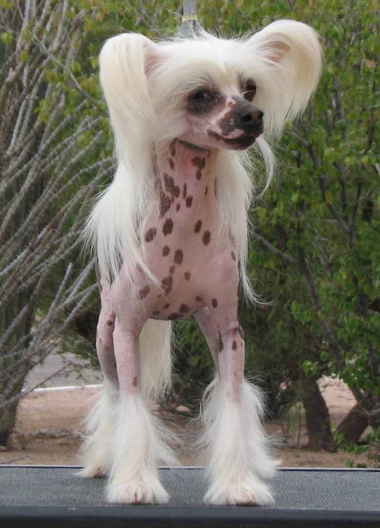 Crest-Vue's Best Kept Secret