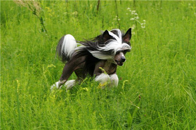 Melanies Rerity Djenifer Lopes