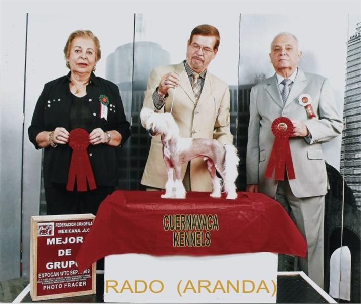 Rado Aranda