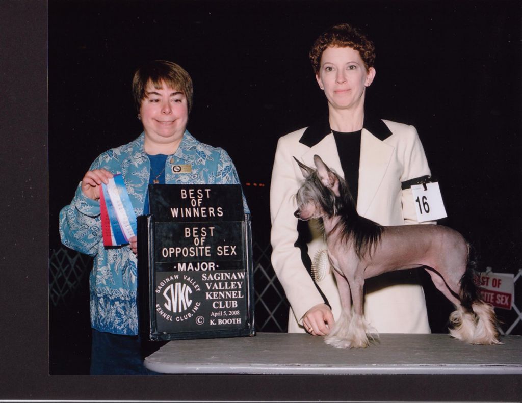 Pixie's My Raaynin Anjell