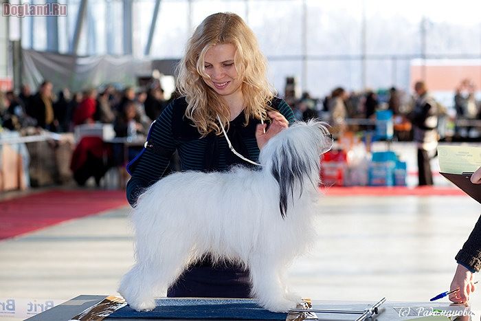 Ksolo  Club Jessi Vait