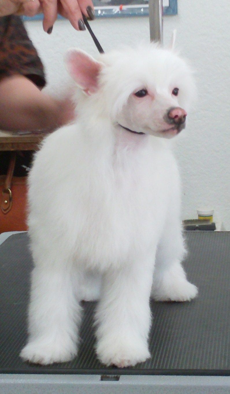 Mooncrest Nick Of Time