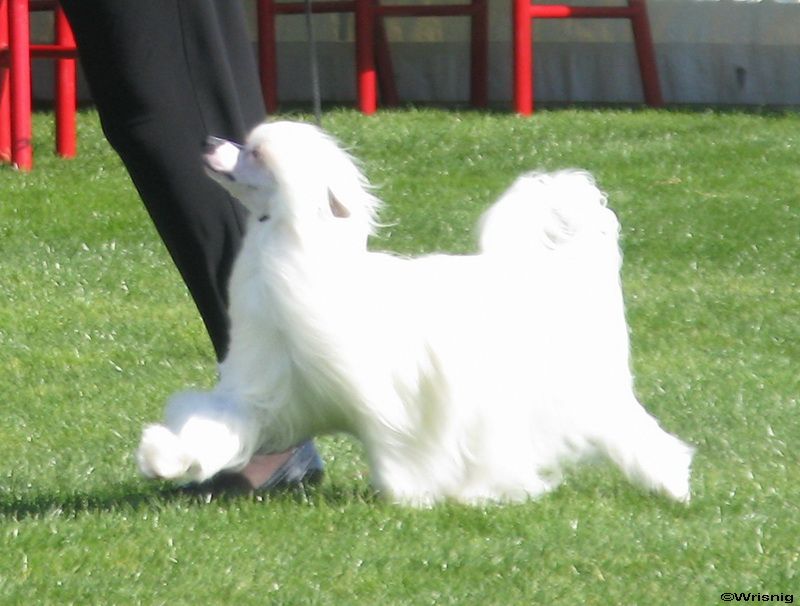 Mooncrest All About Eve