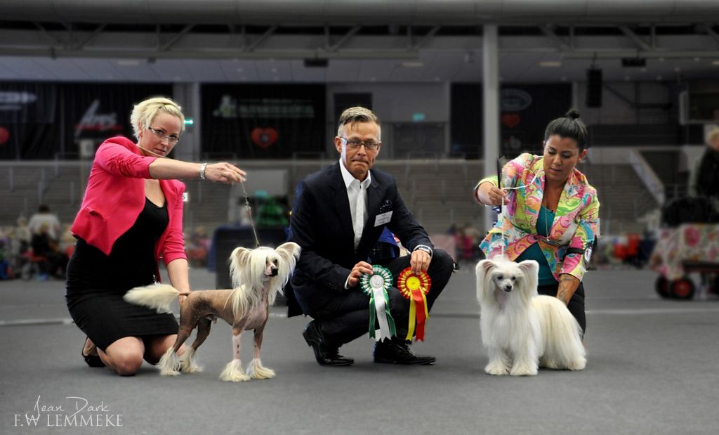 Bonniveras Egre'gius