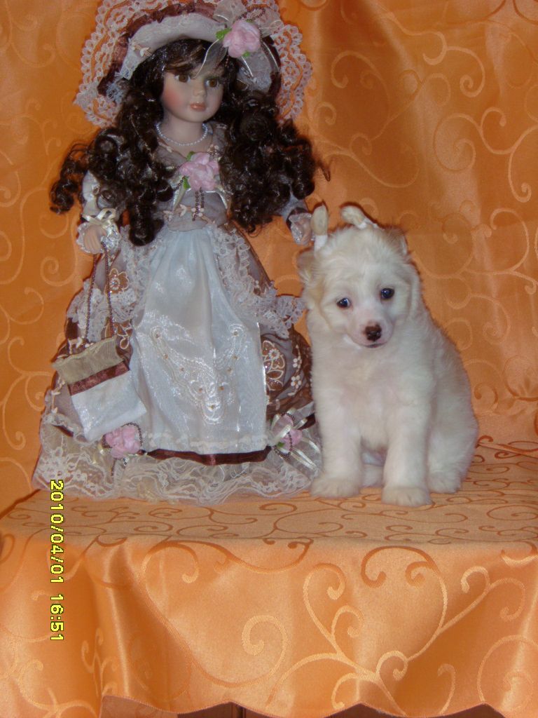 Magnifique Memelburg of Magma