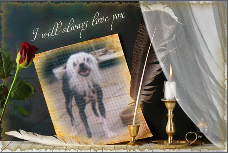 China Key v. Tasmania