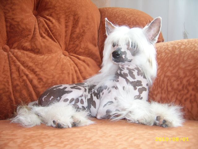 Princess Peris