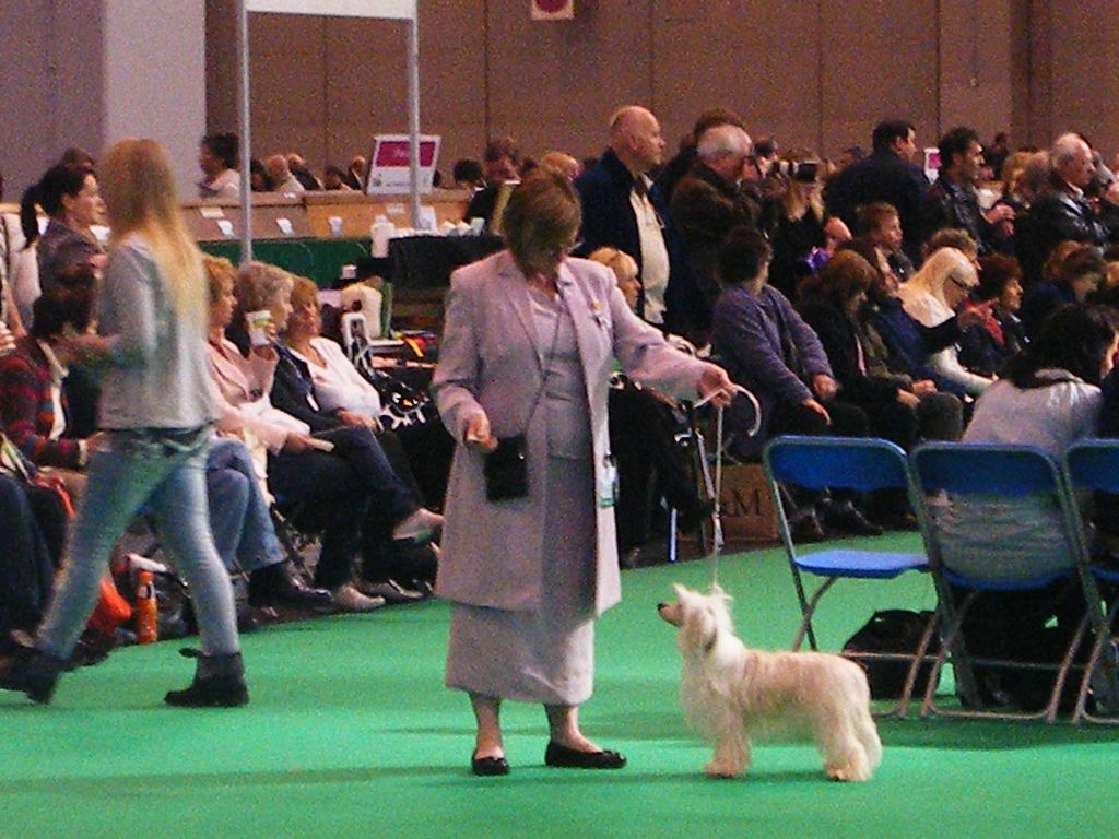 Doucai's Wild At Heart With Neichelles