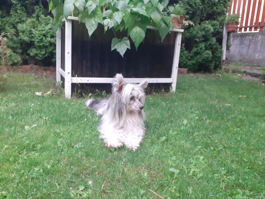 Awakening Love Mystic Fantastic