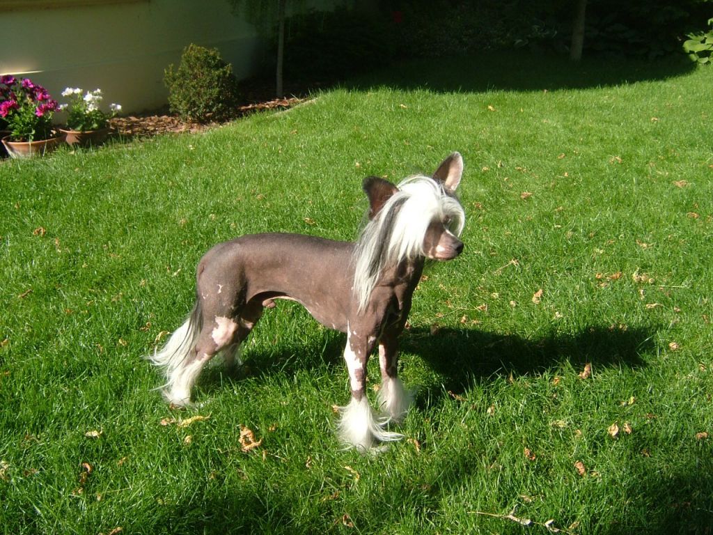 Artist of Life  Mystic Fantastic