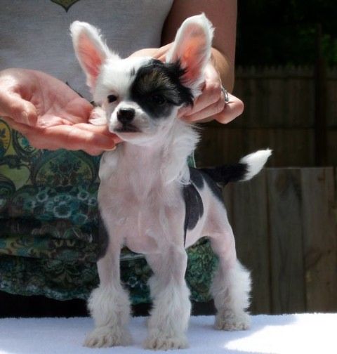 MTO-Wickhaven I Know A Little 'Bout Love