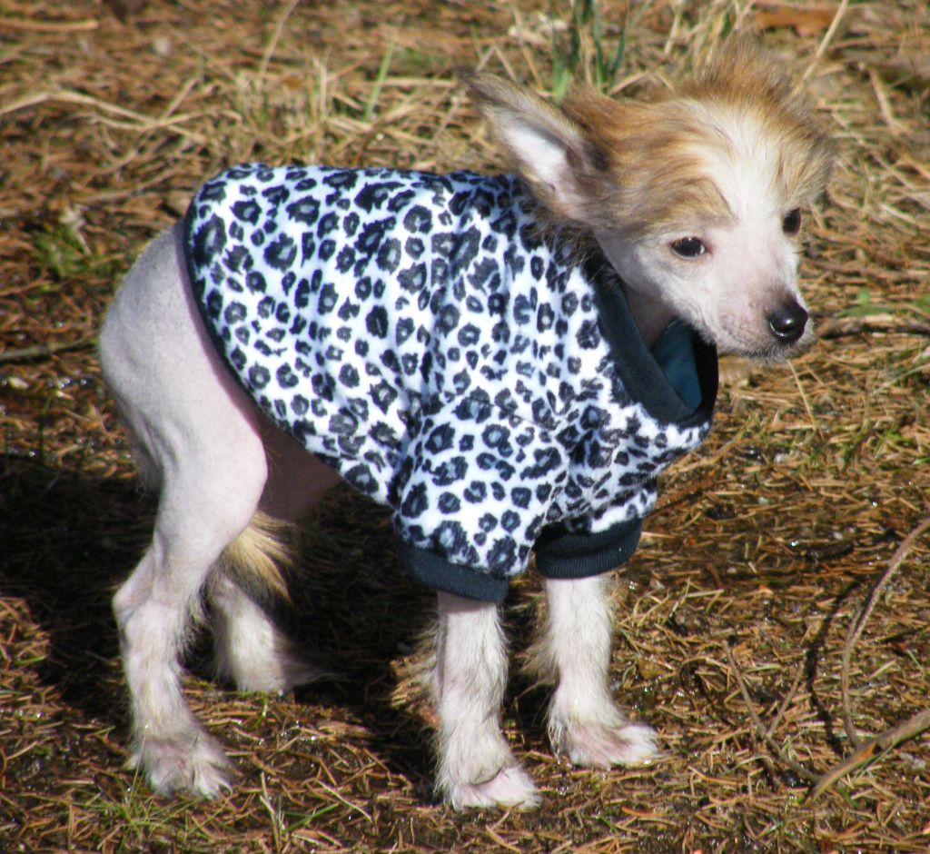 Nous Aimons Surprice