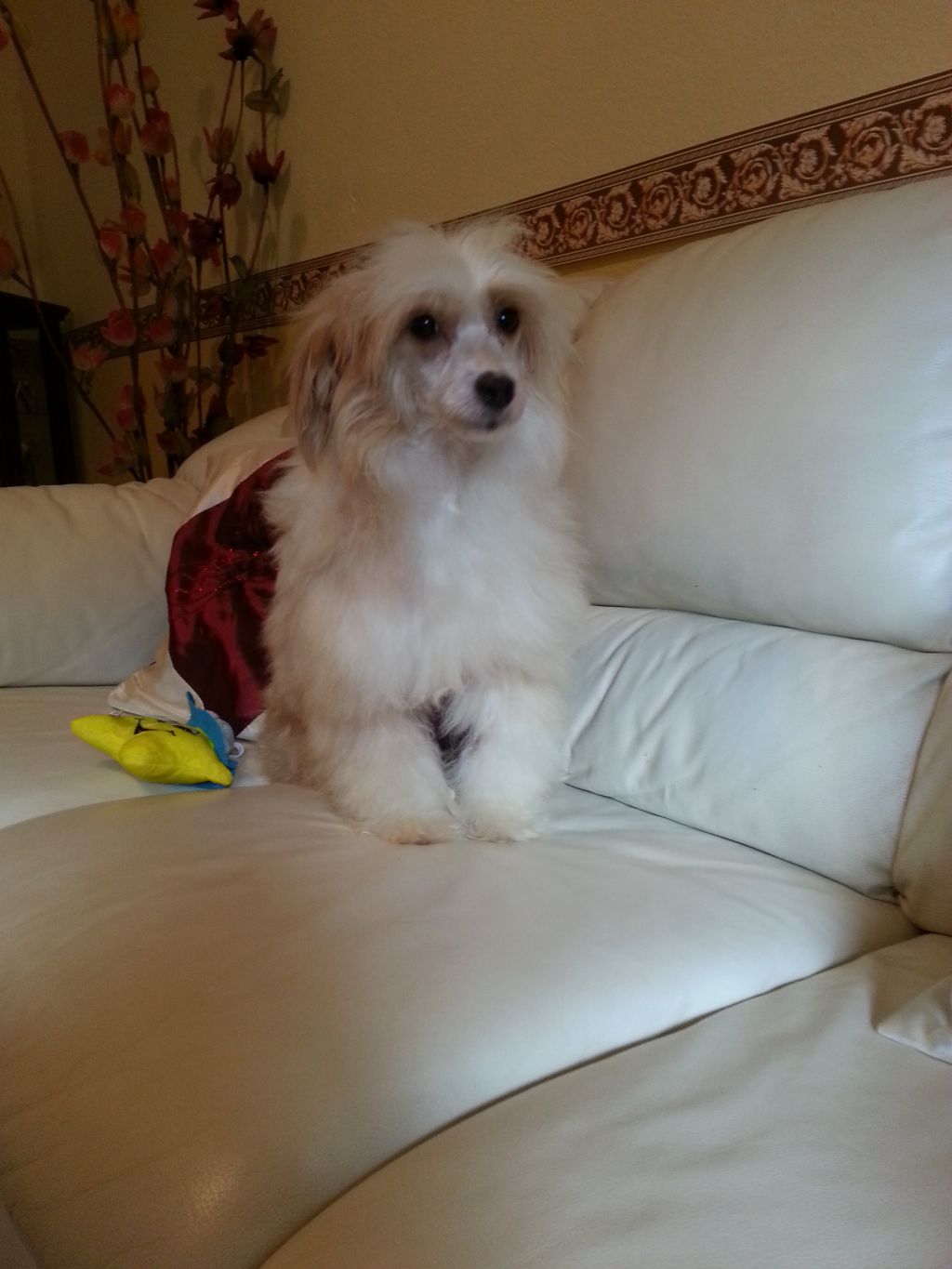 Giovanni Principe delle Maree