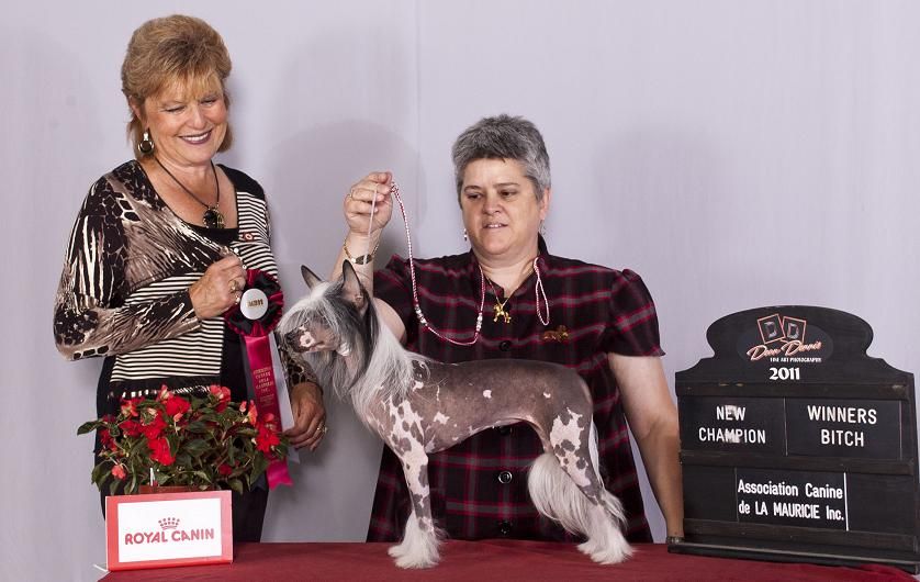 Crestyle  You've Been Warn HL