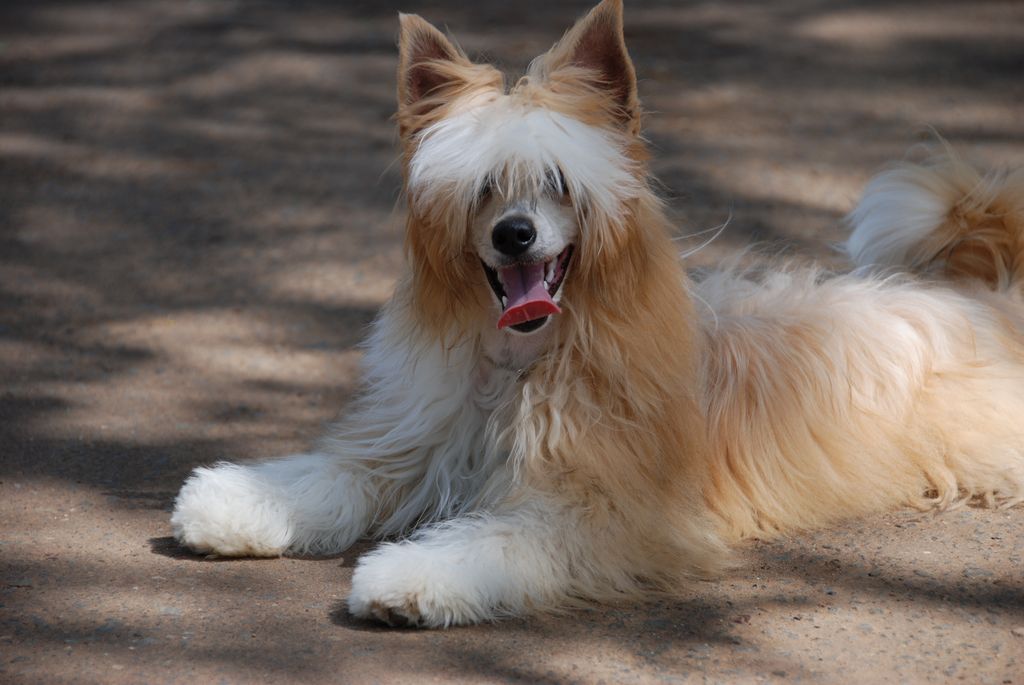 Rus Lorens Ofelia Magic Secret