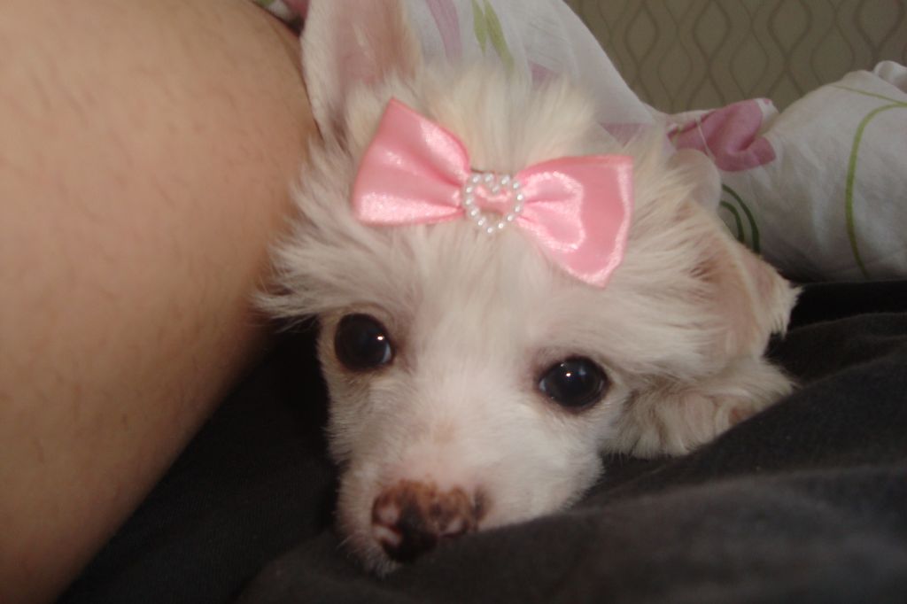 Yrar Happily Ever After