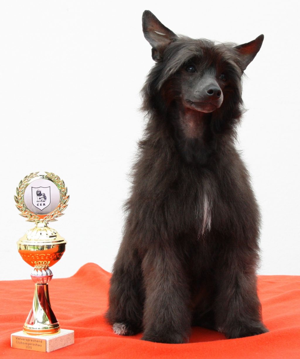 Armani King of Diamonds