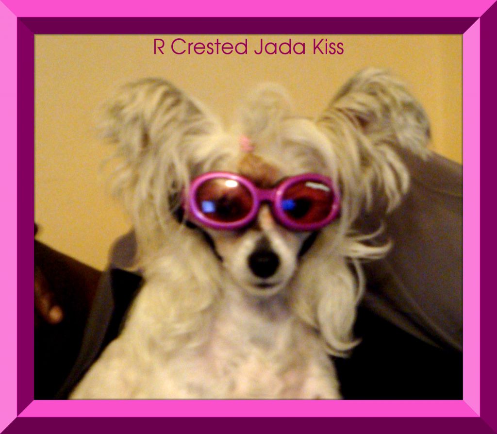 RCrested Jada Kiss