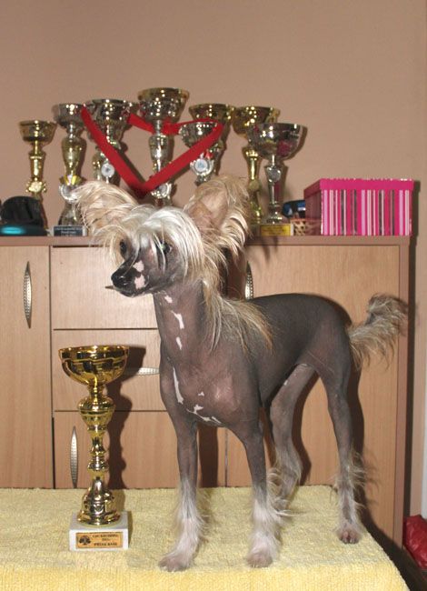 Alpine Here I Go Again