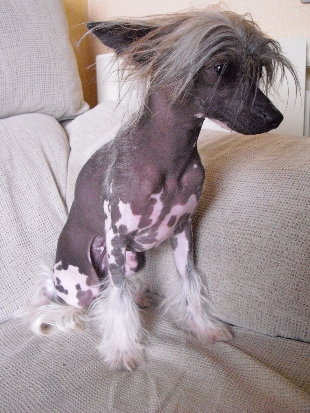 Goddess of Ivory de Caprichitos