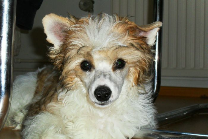 Windy Evening Bossa Nova