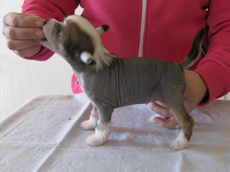 Tiffabellz Hugo Boss