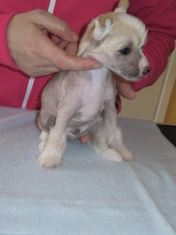 Tiffabellz Hocus Pocus