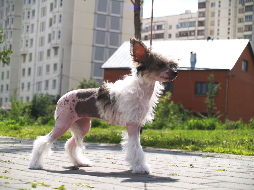 Navia Sharm of Nature