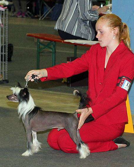 Proud Pony TNT I'm Dynamite