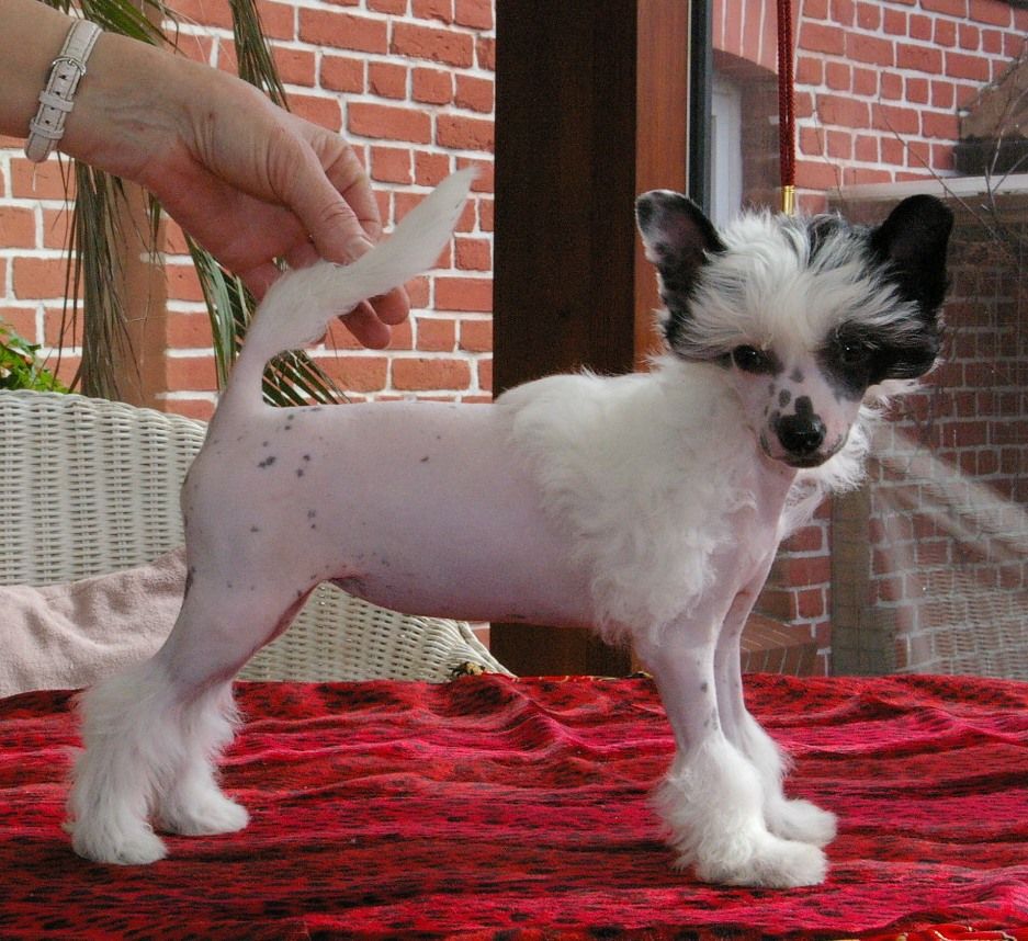 Unknown Little Lady von Shinbashi