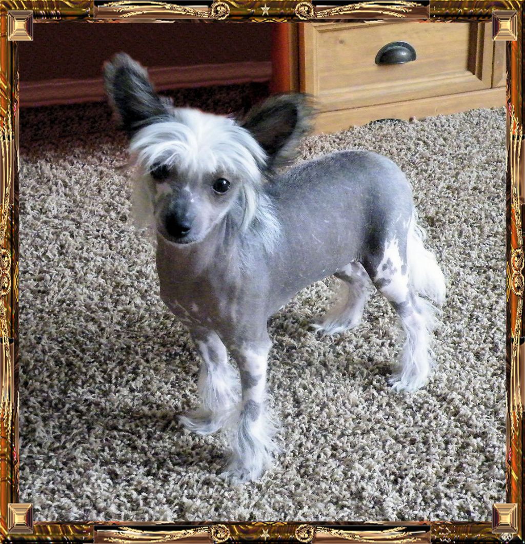 Outlaw's Cowgirls Do It Better