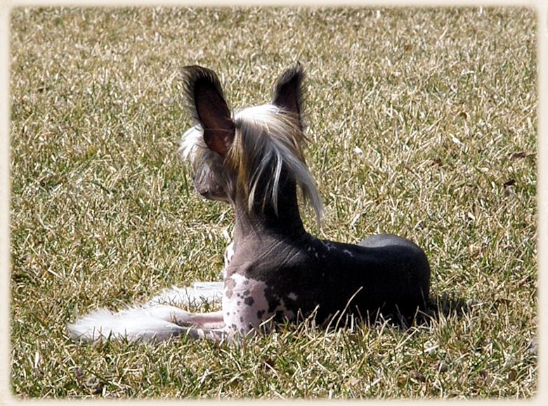 Altair's Take Back The Night