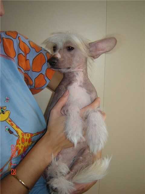 Yuzhnii Briz Dzhimmi