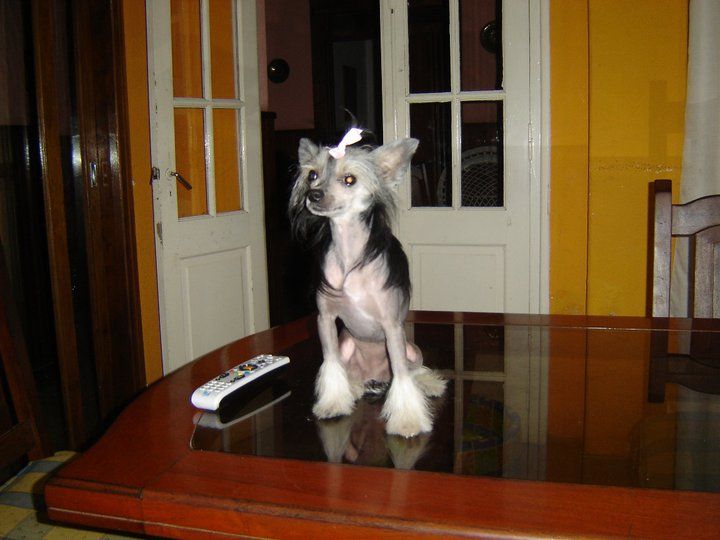 Take a Look at me FalaZairroo