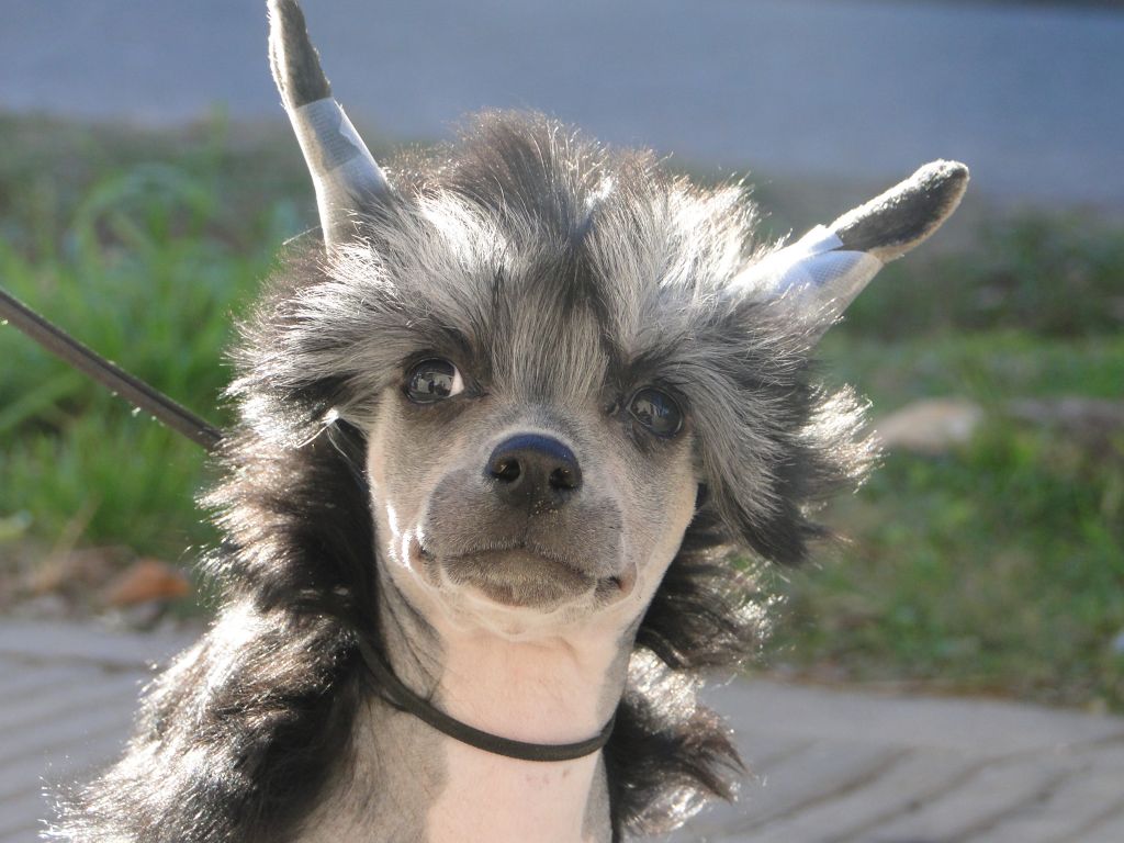 Insert Coin FalaZairroo