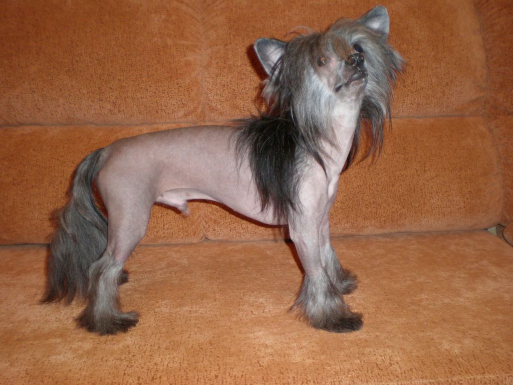 Elfgrace Sandjei Tingh