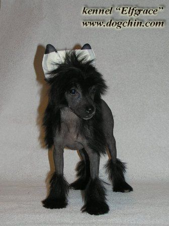 Elfgrace Tee-Aj-Shee Tia