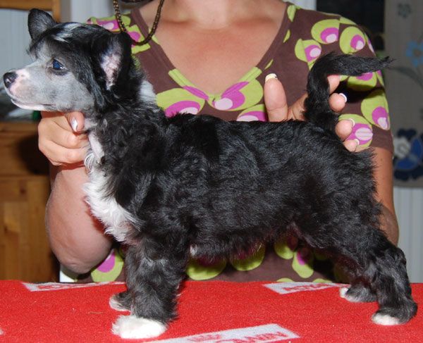 Beauty Of Xlnz Three Wipe A Tear