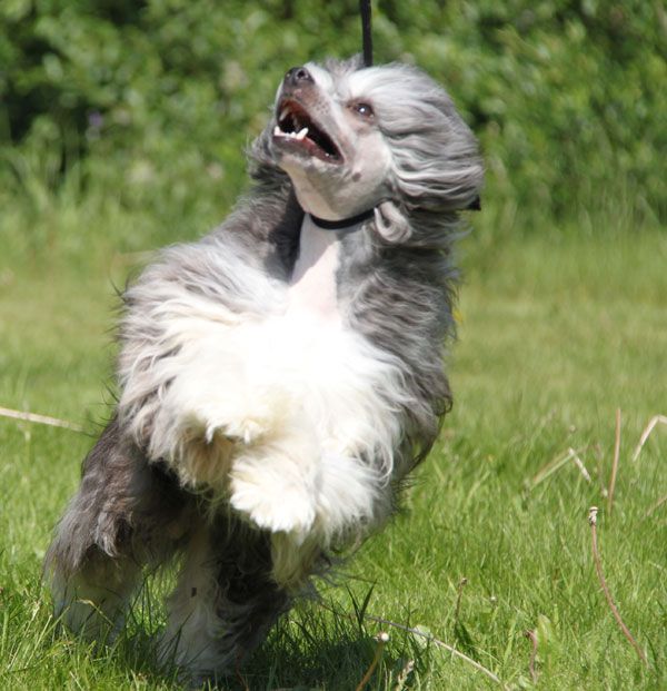 Beauty Of Xlnz Three Smashing Thing