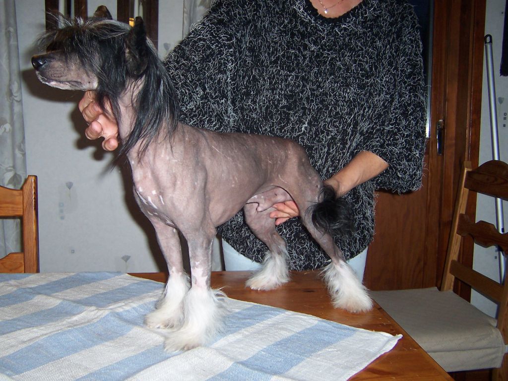 Sea Fire's I Feel Fine