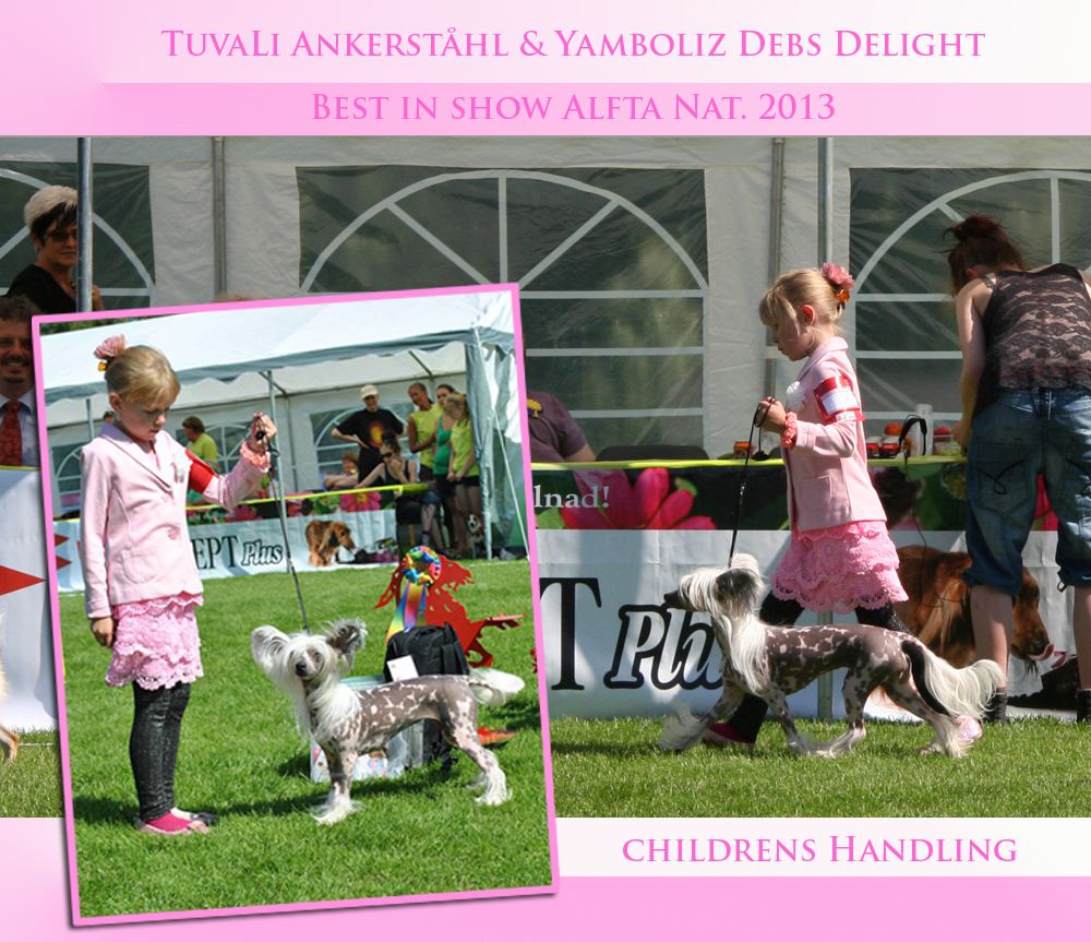 Yamboliz Debs Delight