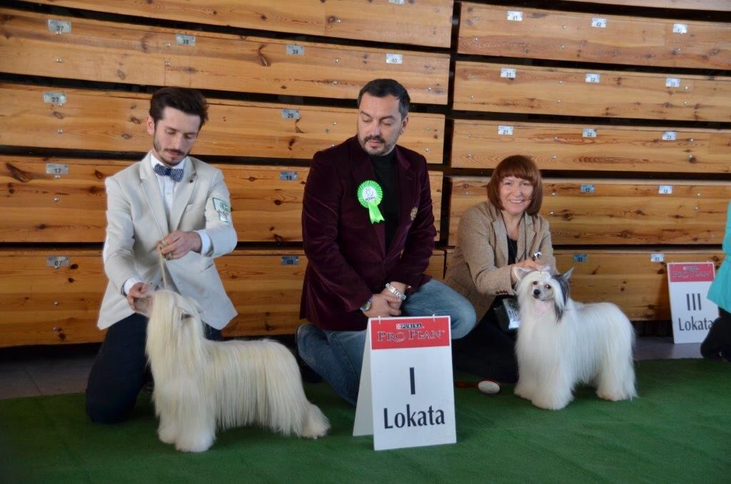 Bellissima Sfora Lucjana