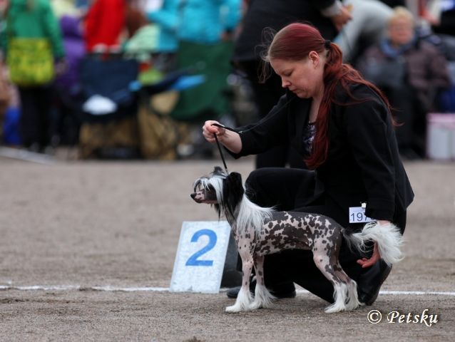 Dragon Moon Lady In Leather Suit